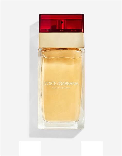 terno dolce gabbana|Dolce & Gabbana eau de toilette.